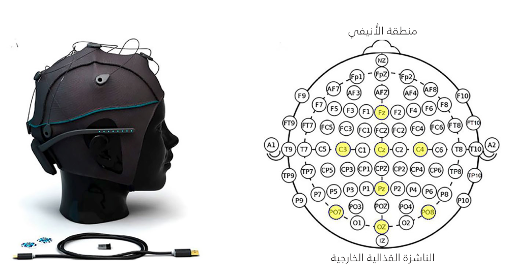 الشكل 1 | مجموعة بيانات «يونيكورن هايبرِد بلاك» Unicorn Hybrid Black وتوزيع الأقطاب الكهربية الذي تستخدمه. يظهِر الشكل التوزيع المؤلف من ثماني قنوات للأقطاب الكهربية المستخدمة في الدراسة، والذي يتبع النظام الدولي المعروف باسم «نظام 10 - 20» للمباعدة بين الأقطاب الكهربية (الفصل بين الأقطاب بنسبة تبلغ 10 أو 20% من المسافة من مقدمة الرأس إلى مؤخرته أو المسافة من جانب الرأس إلى الجانب الآخر). وتشمل مواضع الأقطاب الكهربية الموضع FZ، وc3، وcz، وc4، وpz، وpo7، وoz، وpo8. وهذا التوزيع يوازن بين تحقيق الاستبانة المكانية والتكلفة اليسيرة وسهولة الاستخدام.